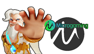 slot microgaming banner