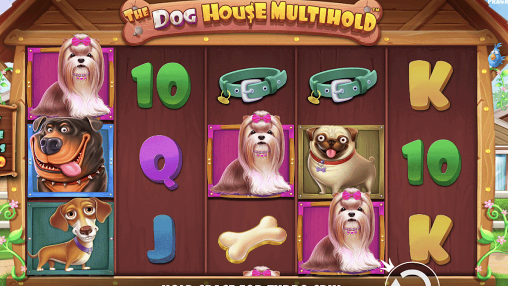 tema the dog house